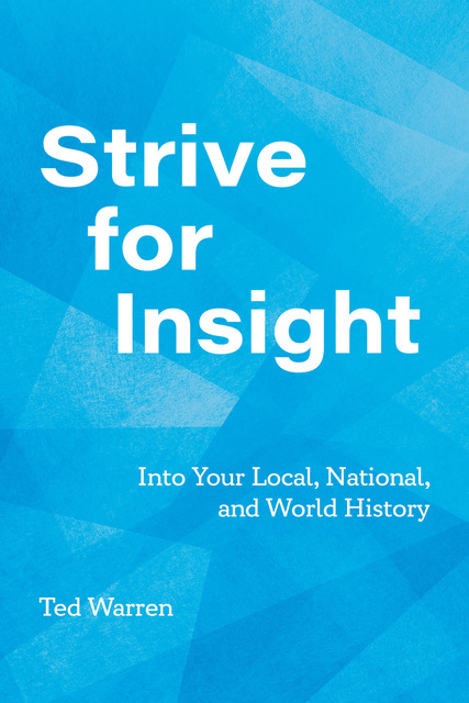 strive for insight ebook cover